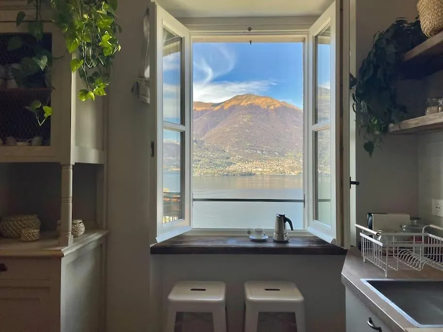 Il Noce Lake View Apartment Lezzeno 0*,